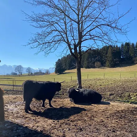 Apartament & Bergblick I Sauna Im Badezimmer I Parkplatz