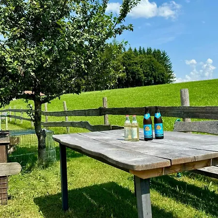 & Bergblick I Sauna Im Badezimmer I Parkplatz Apartament Rieden am Forggensee